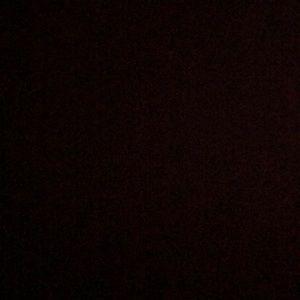 Meet your Posher, Travis